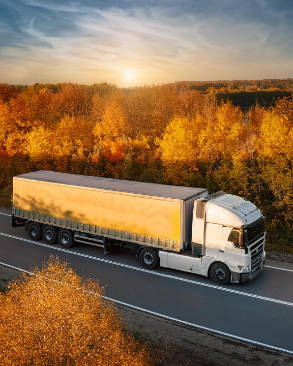 Image hover effect image