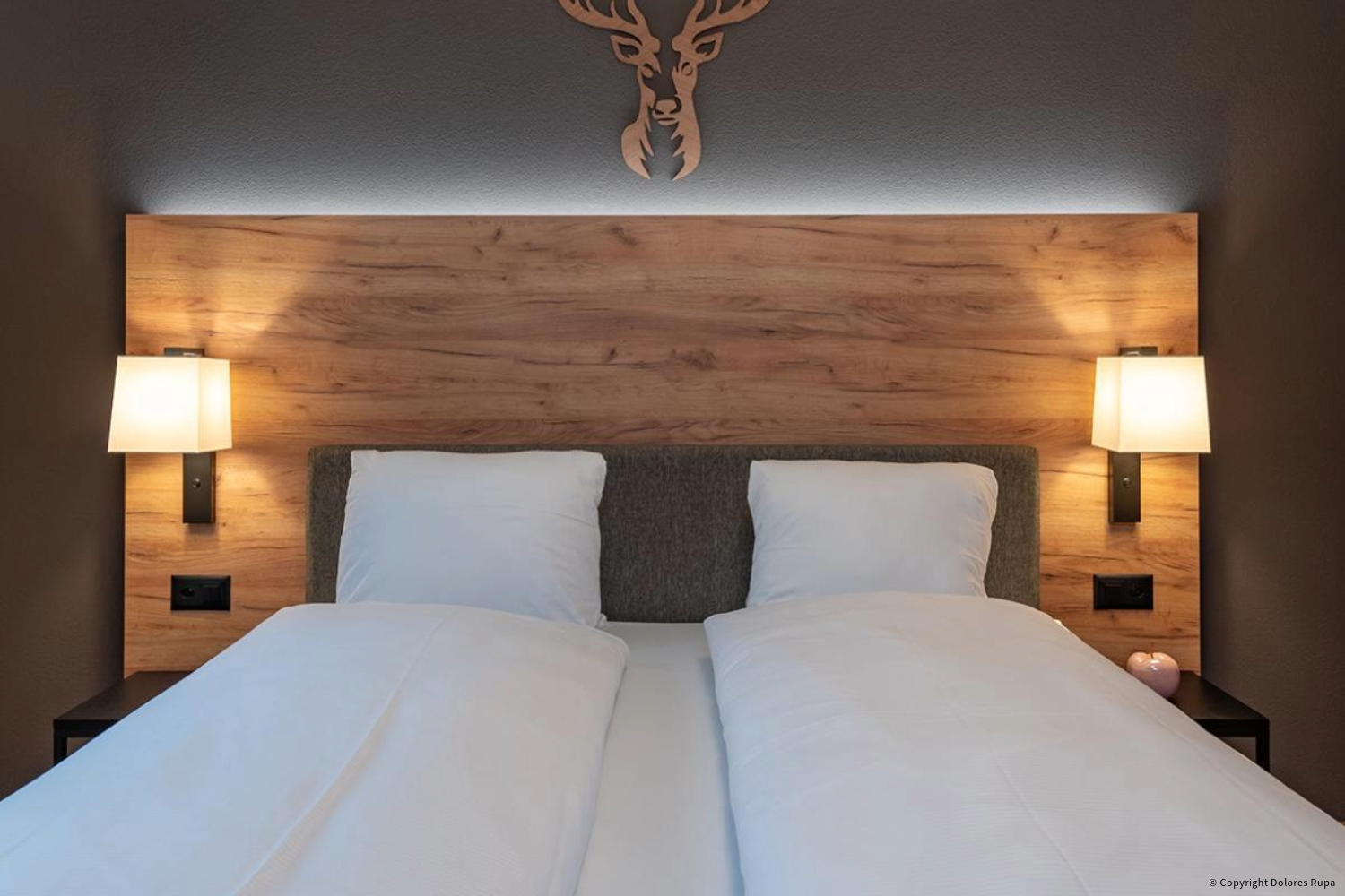 Rooms furniture Mountain resort Brigels, Switzerland